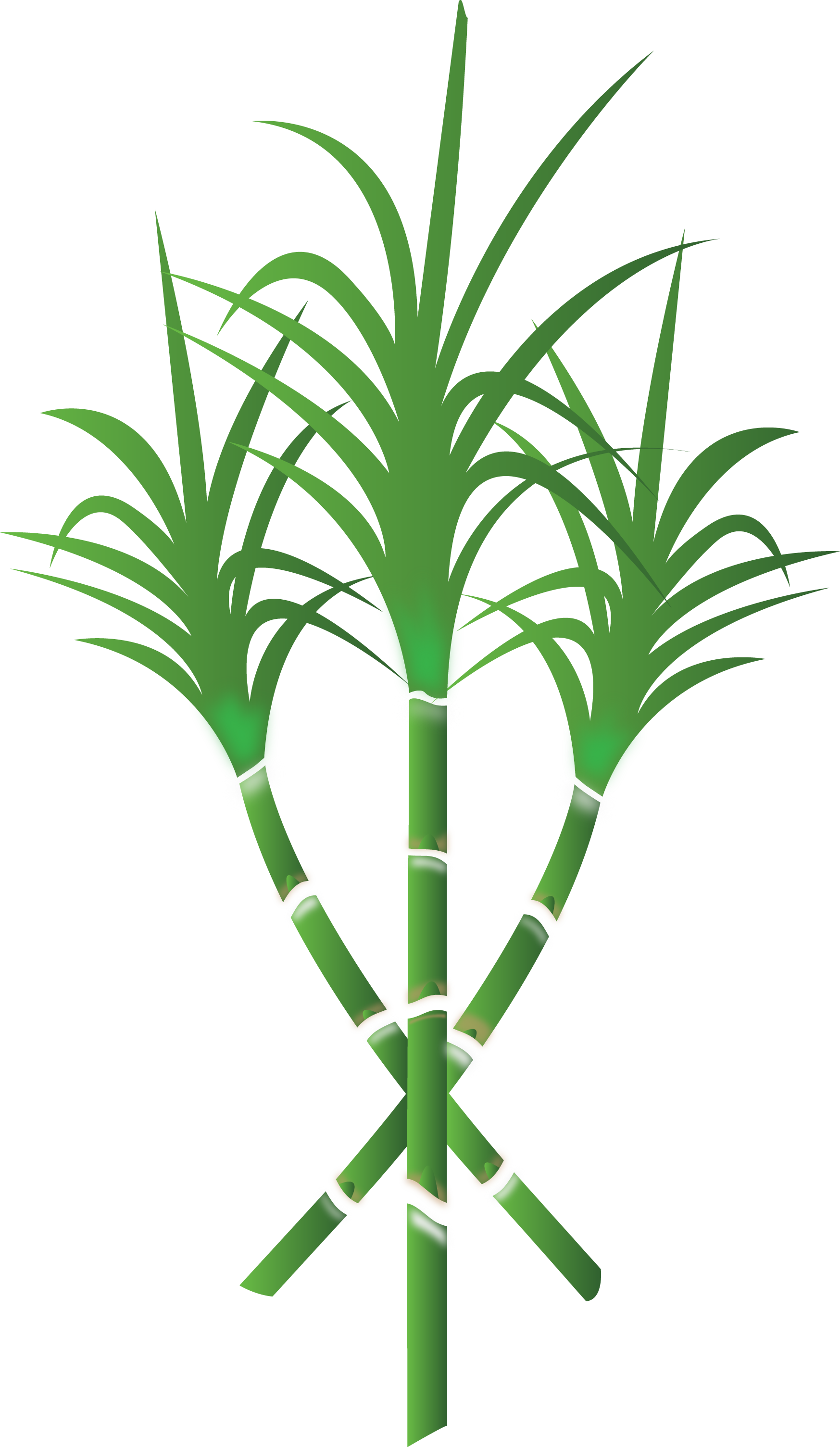 Admin Logo